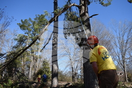 Winter Weather Mississippi