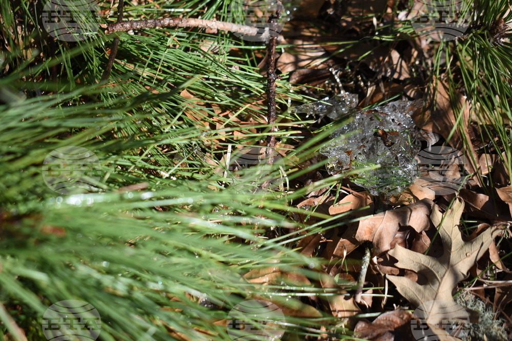 Winter Weather Mississippi