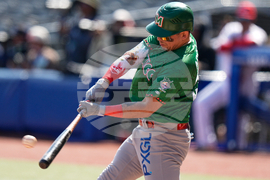 Mexico Dominican Republic Baseball