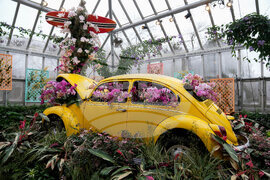 CORRECTION Orchid Show Chicago