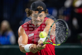 Davis Cup Canada Brazil Tennis