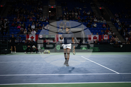 Davis Cup Canada Brazil Tennis