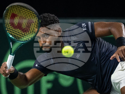 Davis Cup Canada Brazil Tennis