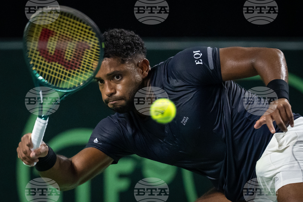 Davis Cup Canada Brazil Tennis