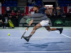 Davis Cup Canada Brazil Tennis