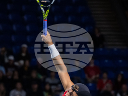 Davis Cup Canada Brazil Tennis