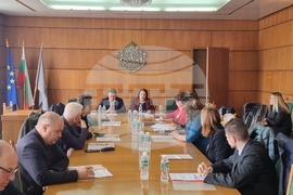 Плевен - туризъм - консултативен съвет