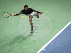 Davis Cup Canada Brazil Tennis