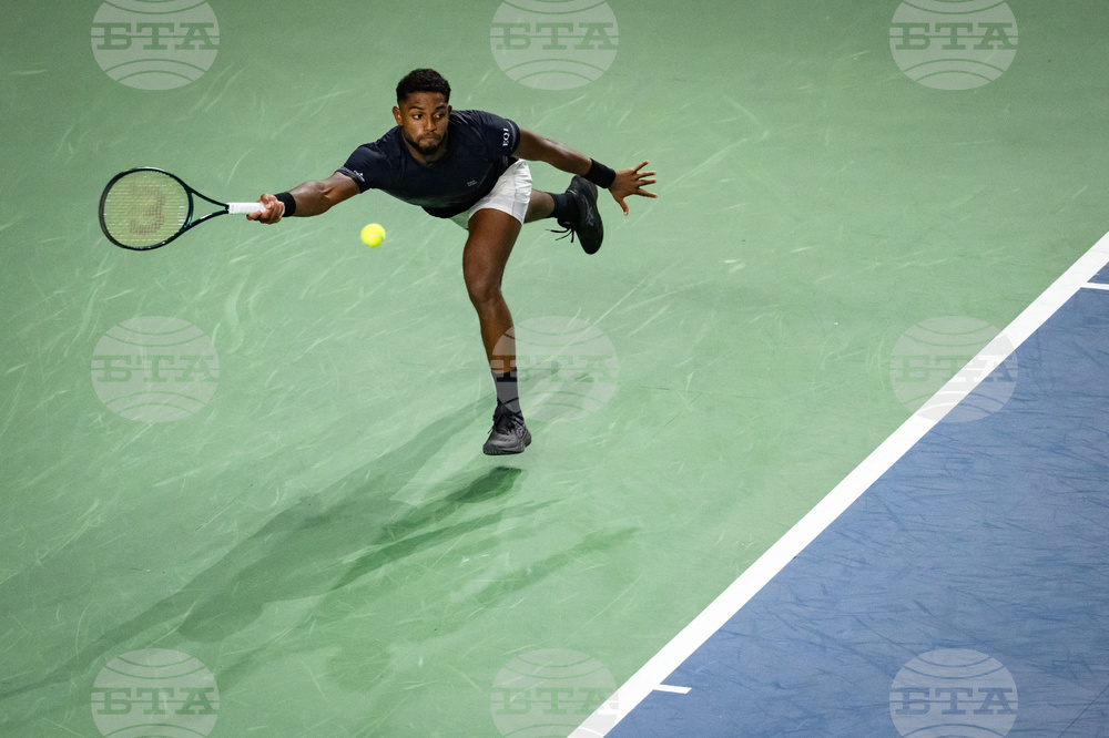 Davis Cup Canada Brazil Tennis