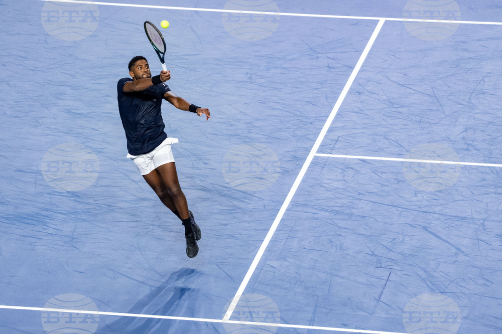 Davis Cup Canada Brazil Tennis