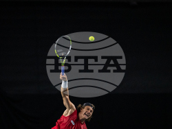 Davis Cup Canada Brazil Tennis