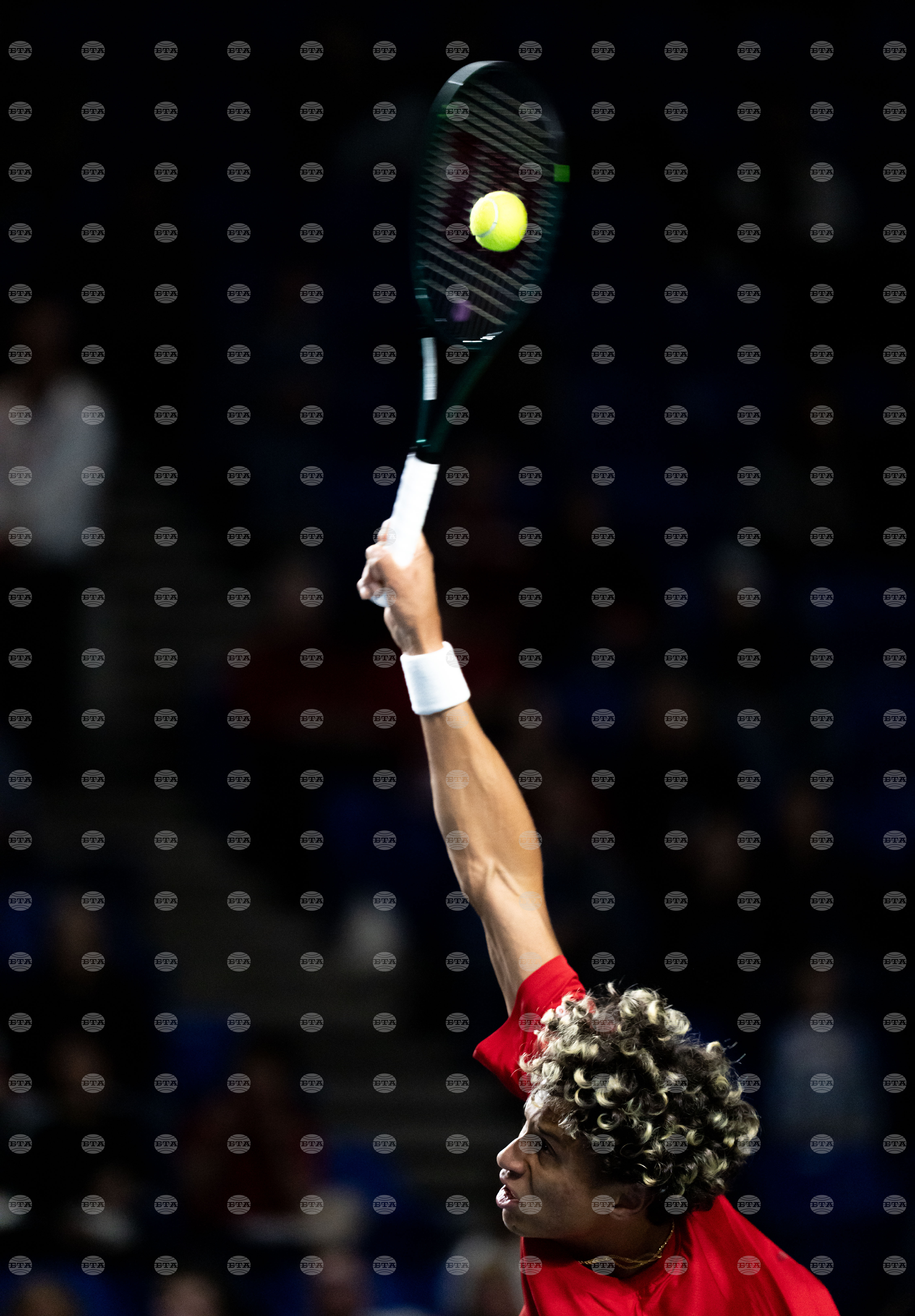 Davis Cup Canada Brazil Tennis