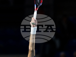 Davis Cup Canada Brazil Tennis