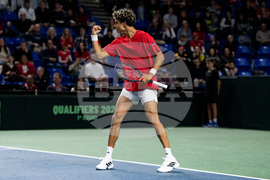 Davis Cup Canada Brazil Tennis