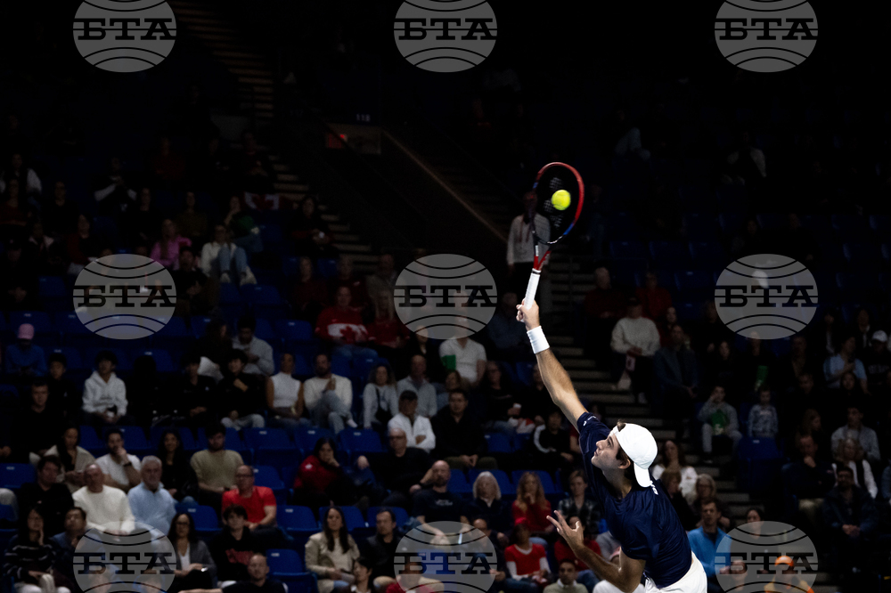 Davis Cup Canada Brazil Tennis