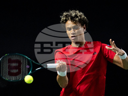 Davis Cup Canada Brazil Tennis