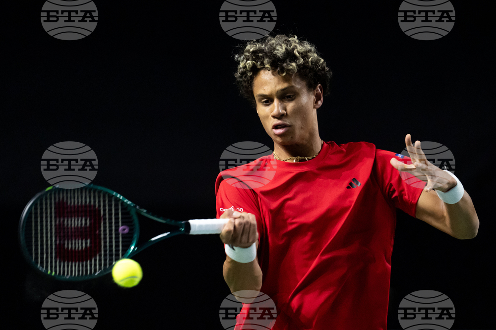 Davis Cup Canada Brazil Tennis