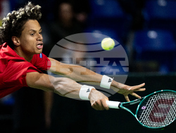 Davis Cup Canada Brazil Tennis