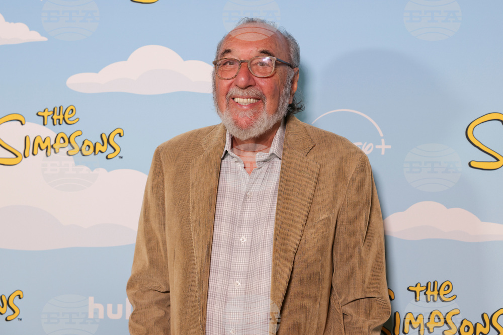 "The Simpsons" 800th Episode Celebration