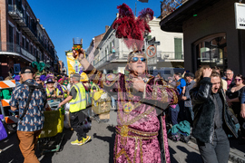 2026 Mardi Gras Parades