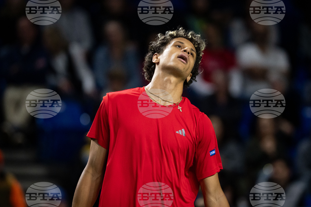 Davis Cup Canada Brazil Tennis