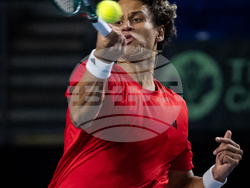 Davis Cup Canada Brazil Tennis