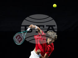 Davis Cup Canada Brazil Tennis