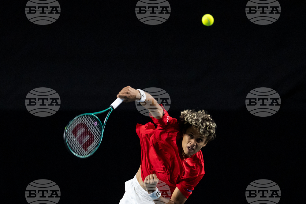 Davis Cup Canada Brazil Tennis