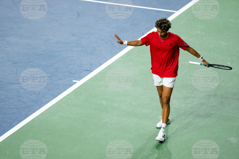 Davis Cup Canada Brazil Tennis