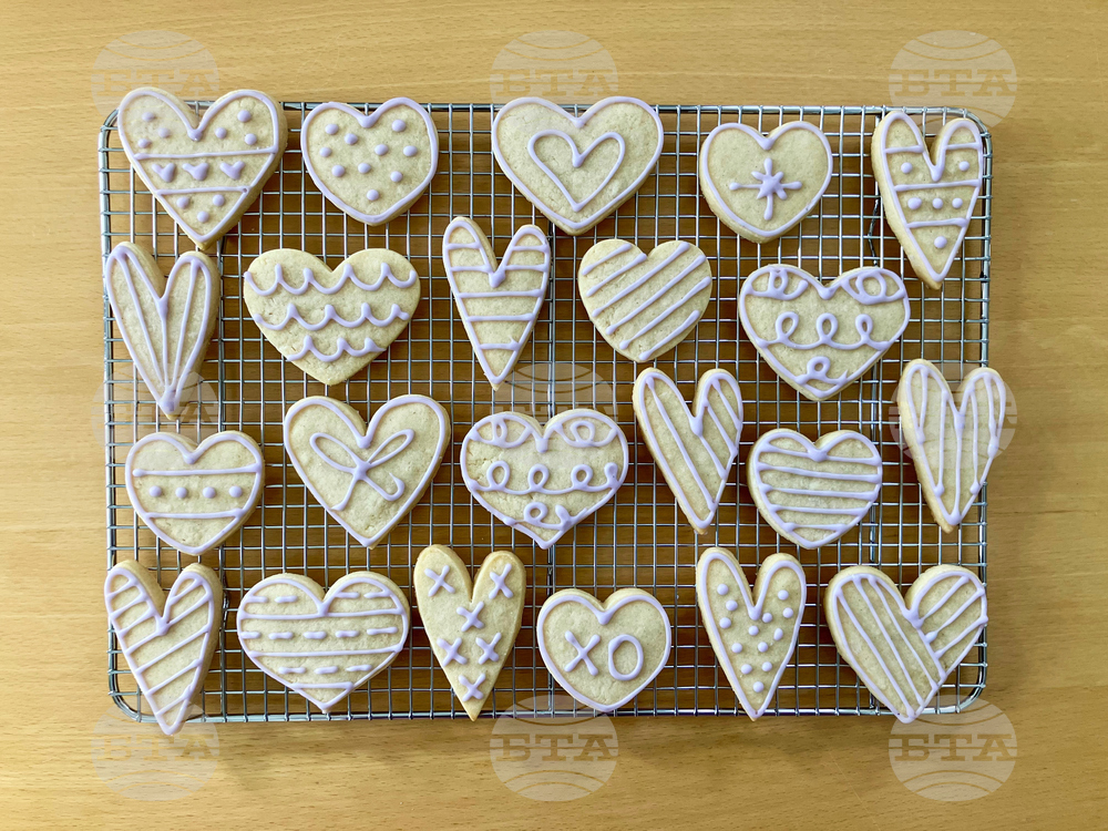 Lifestyles-Galentine's Day