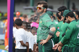 Netherlands Pakistan T20 WCup Cricket