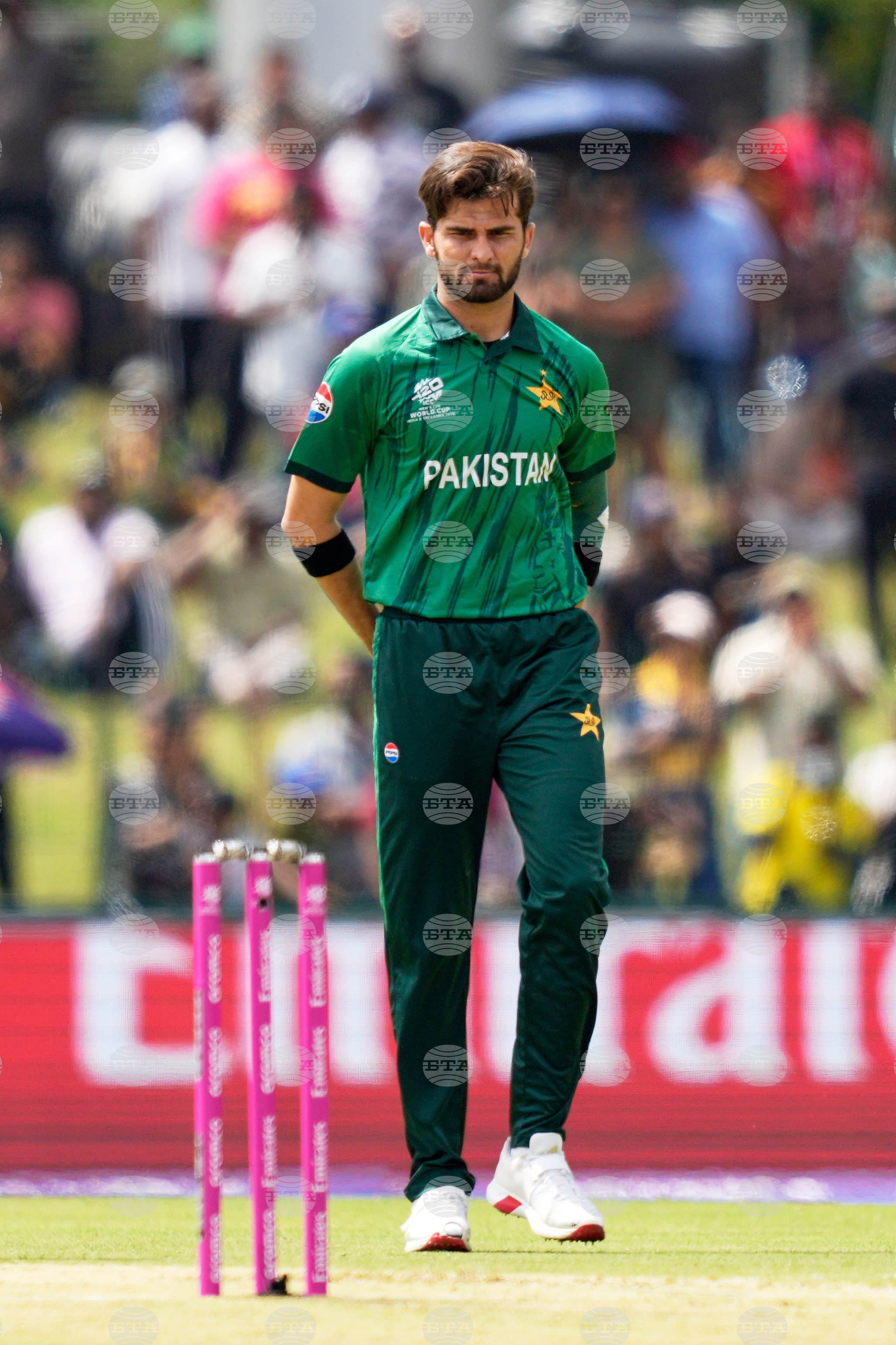 Netherlands Pakistan T20 WCup Cricket