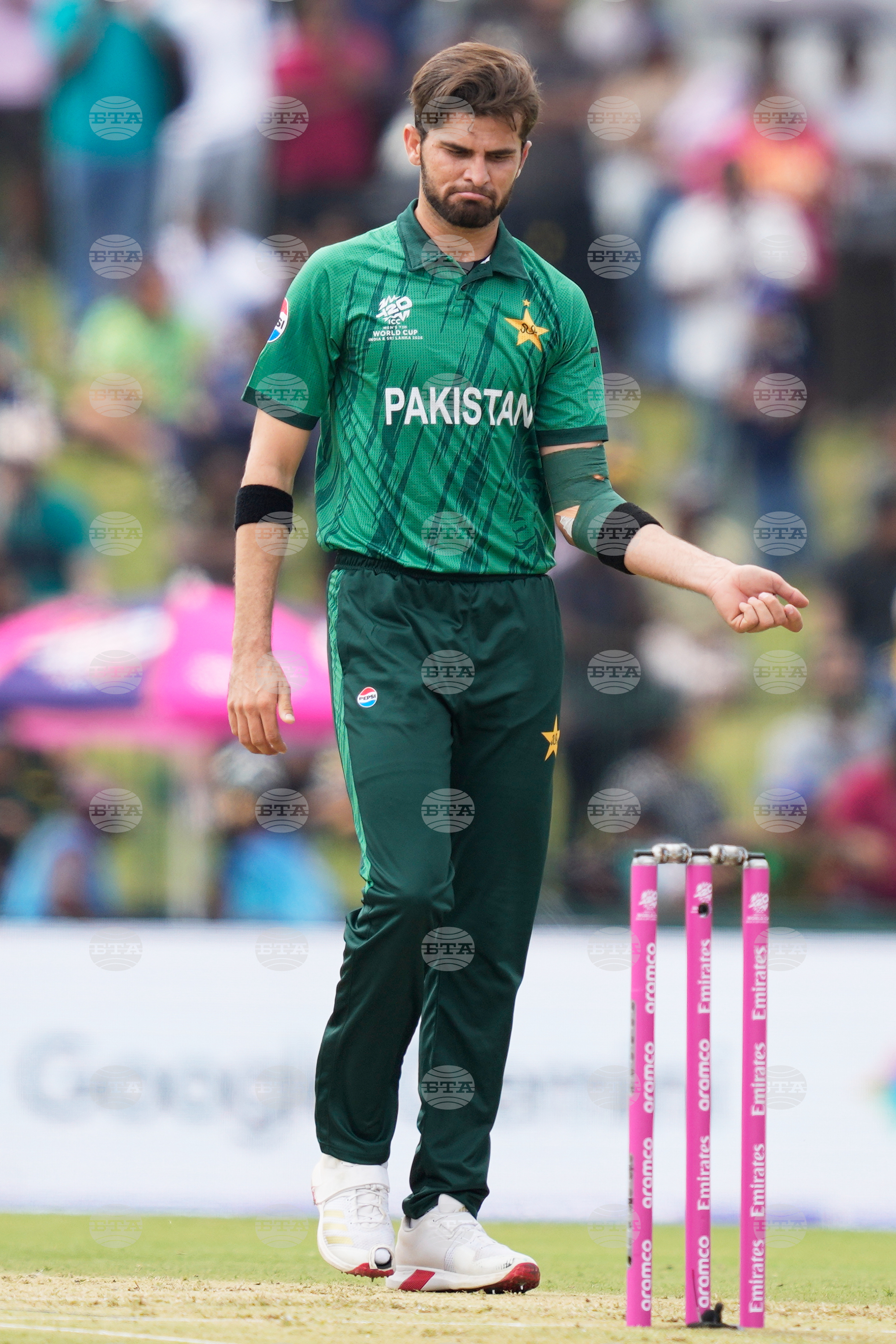 Netherlands Pakistan T20 WCup Cricket