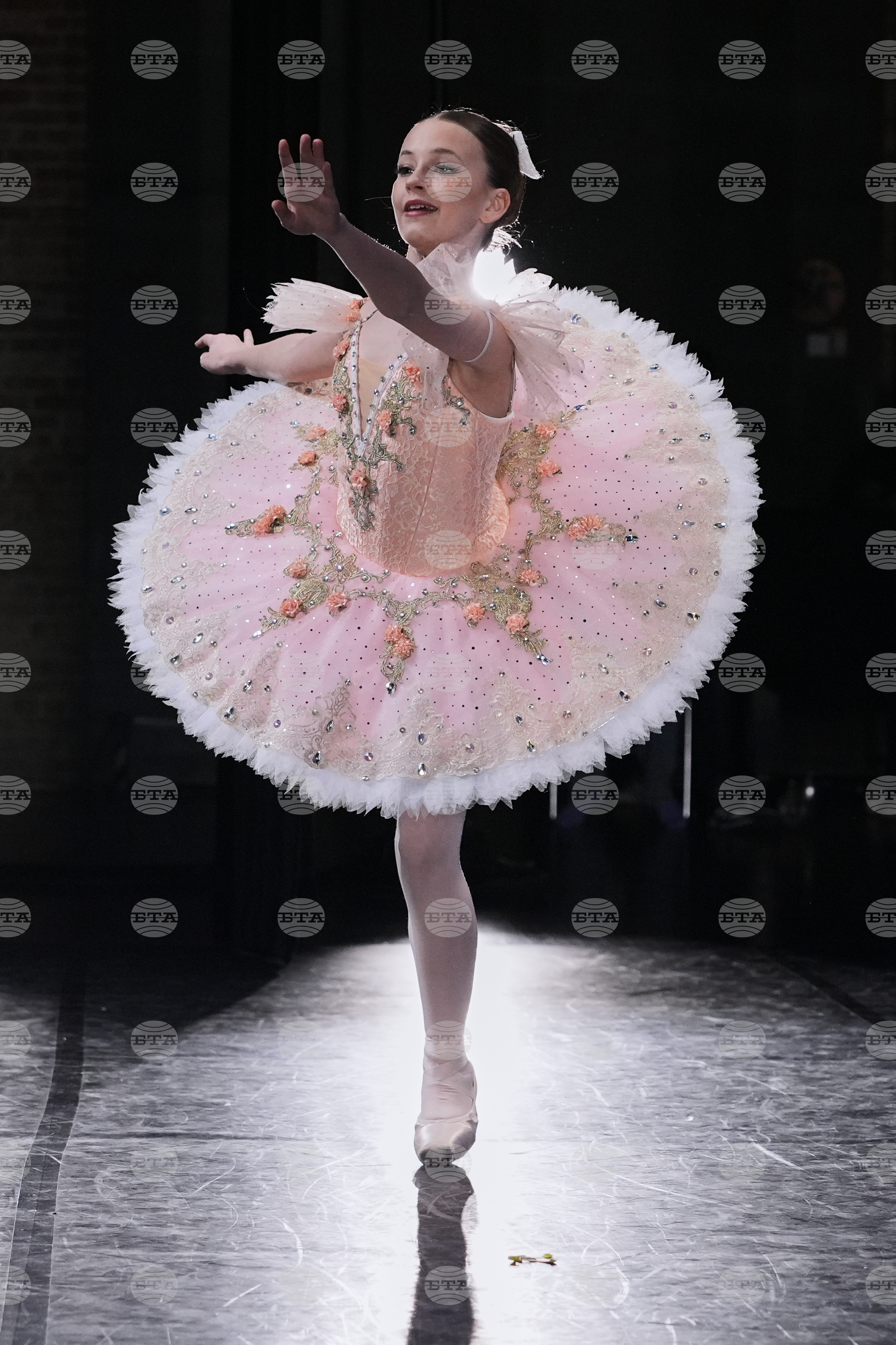 Illinois Daily Life Dance Competition