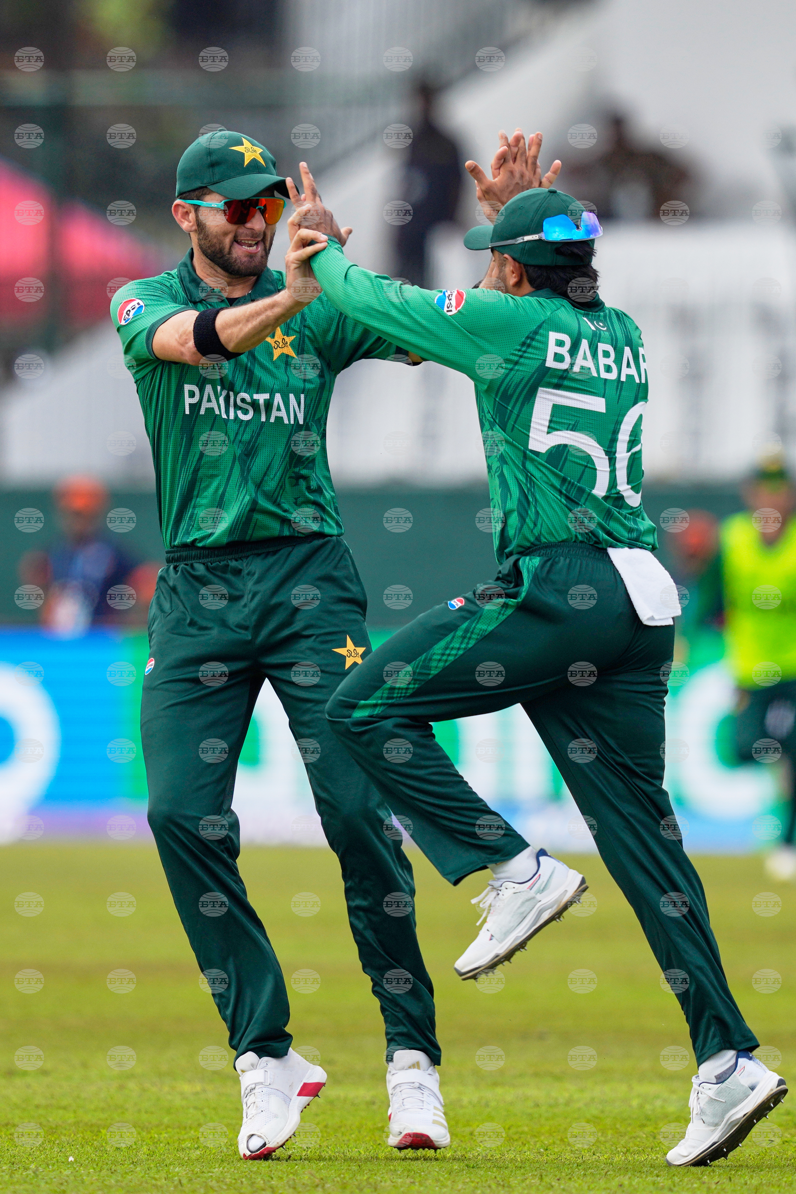 Netherlands Pakistan T20 WCup Cricket