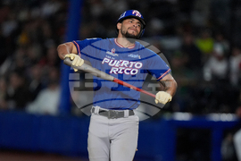 Mexico Puerto Rico Baseball