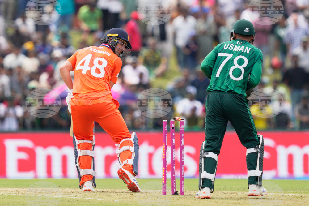 Netherlands Pakistan T20 WCup Cricket