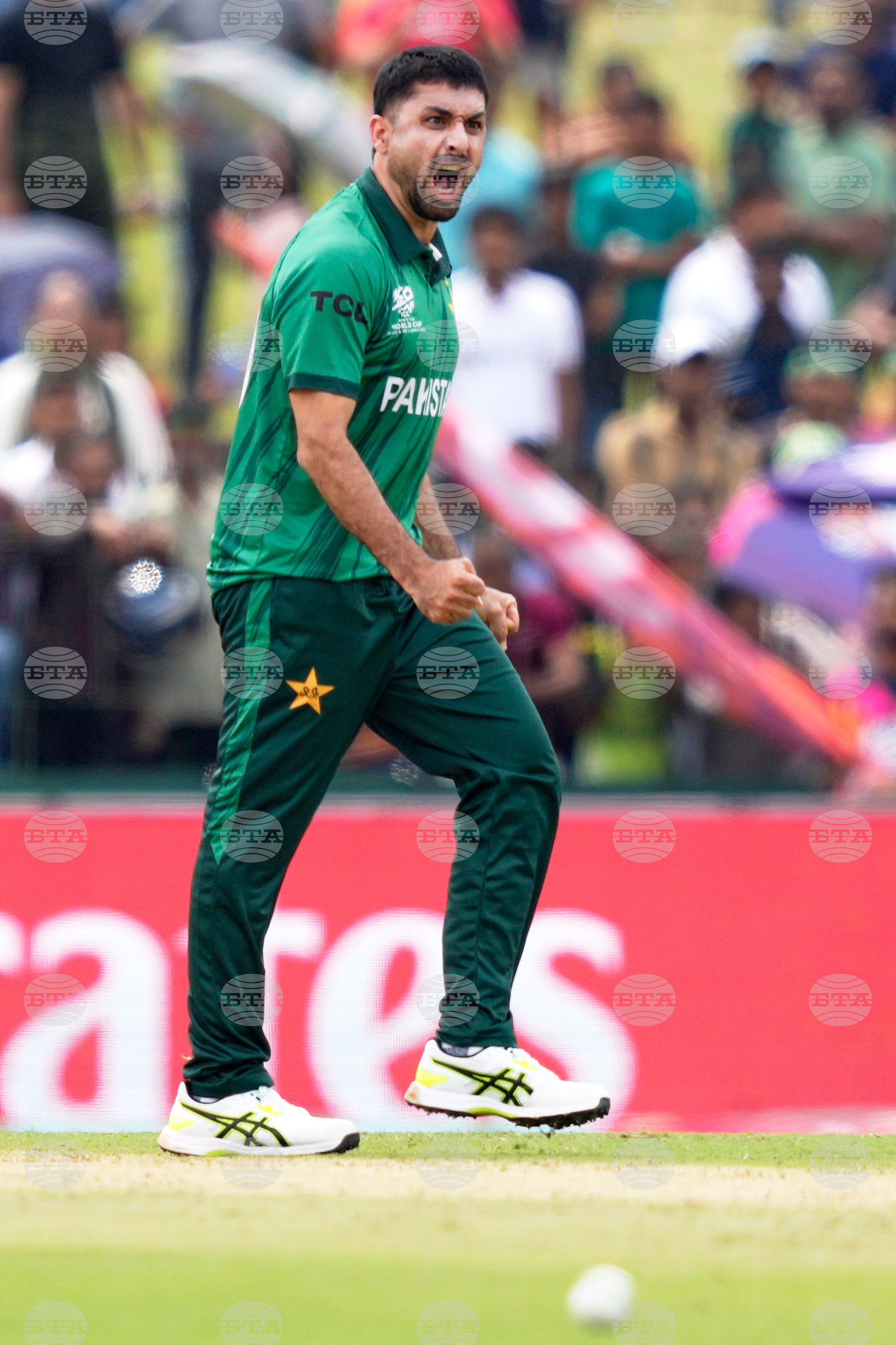 Netherlands Pakistan T20 WCup Cricket