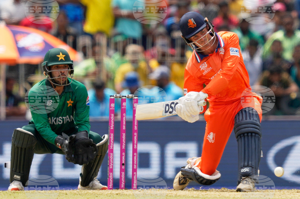 Netherlands Pakistan T20 WCup Cricket