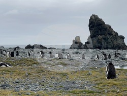 Антарктида - българска антарктическа база "Св. Климент Охридски" - научноизследователски кораб "Св. св. Кирил и Методий"