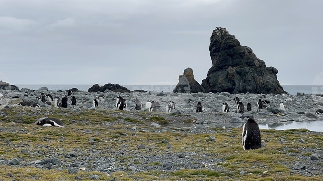Учени от Германия ще стартират днес проект за измерване на морските течения от борда на научноизследователския кораб "Св. св. Кирил и Методий"