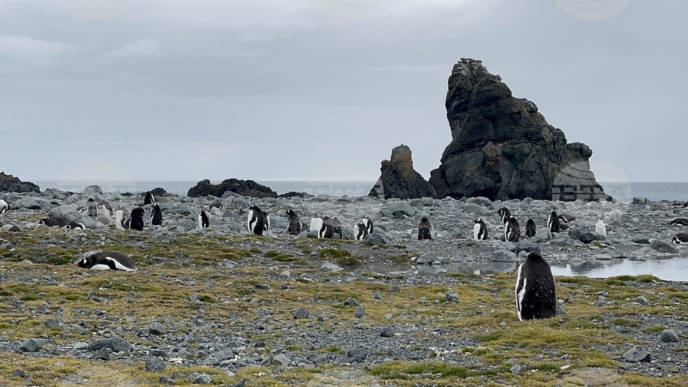 Антарктида - българска антарктическа база "Св. Климент Охридски" - научноизследователски кораб "Св. св. Кирил и Методий"