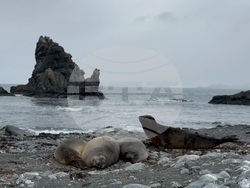 Антарктида - българска антарктическа база "Св. Климент Охридски" - научноизследователски кораб "Св. св. Кирил и Методий"