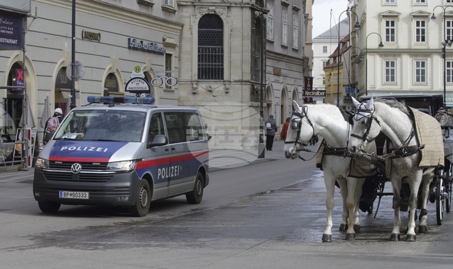През 2025 година престъпленията от десен екстремизъм в Австрия са се увеличили с над 40 процента 