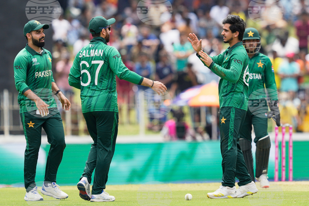 Netherlands Pakistan T20 WCup Cricket