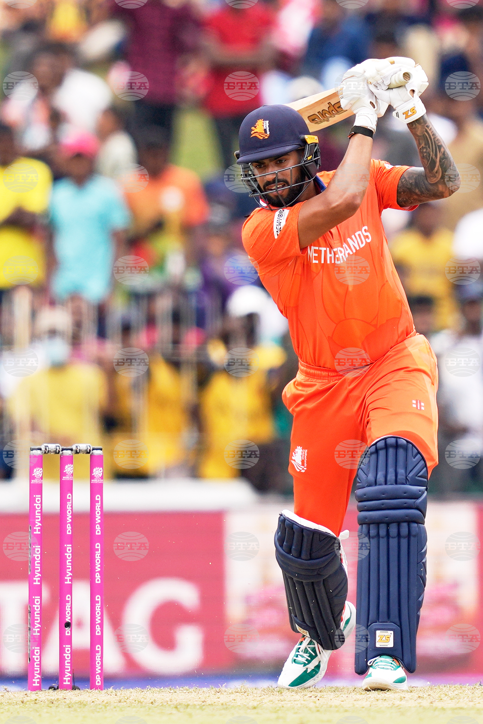 Netherlands Pakistan T20 WCup Cricket