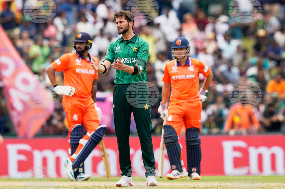 Netherlands Pakistan T20 WCup Cricket
