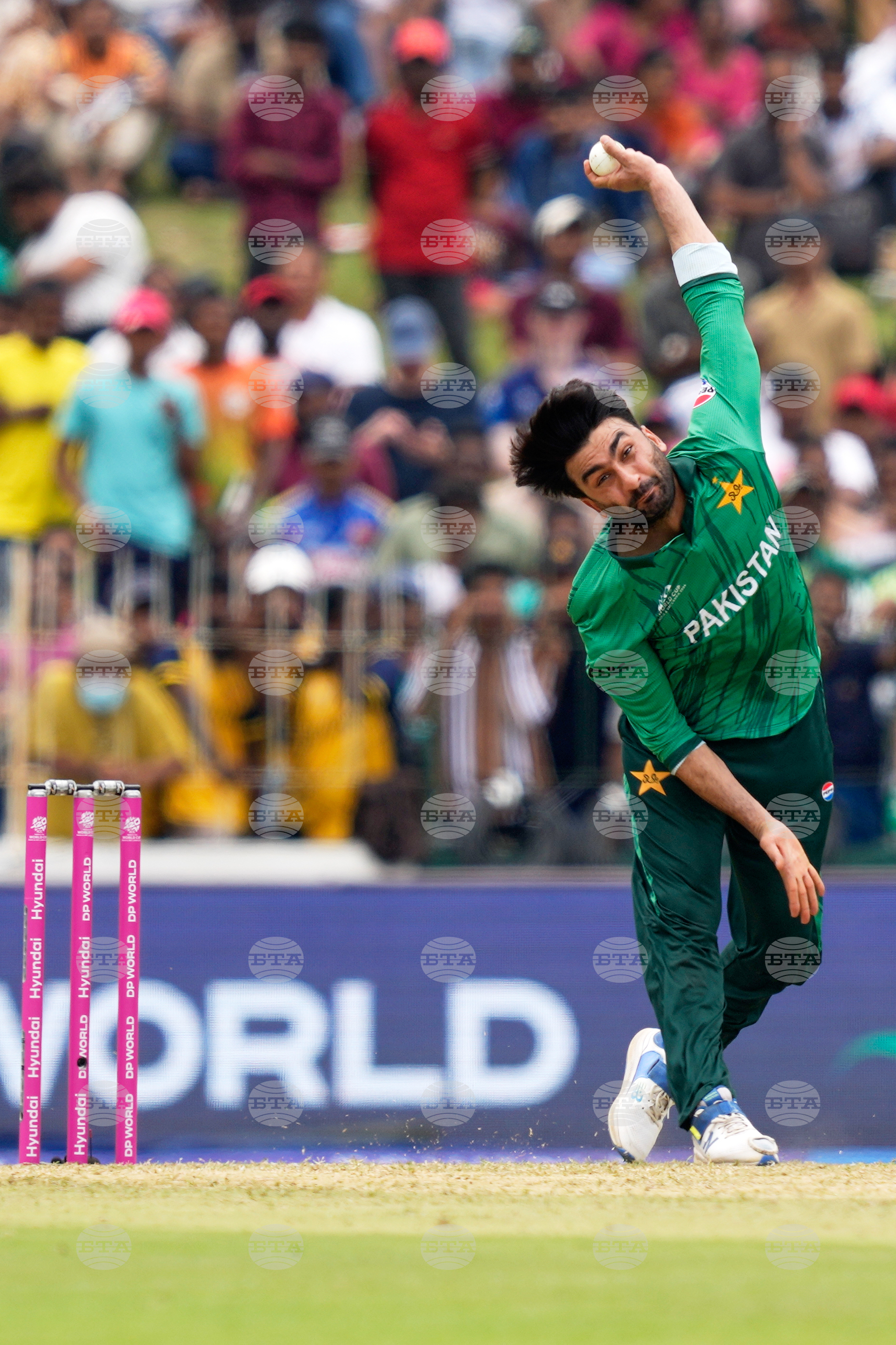 Netherlands Pakistan T20 WCup Cricket