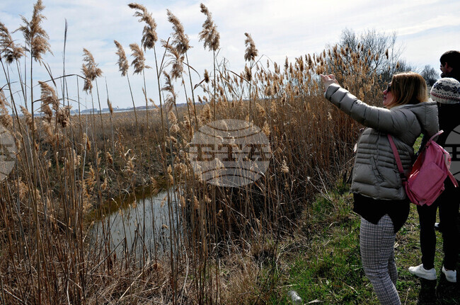 Поморие - Музей на солта - консултативен съвет