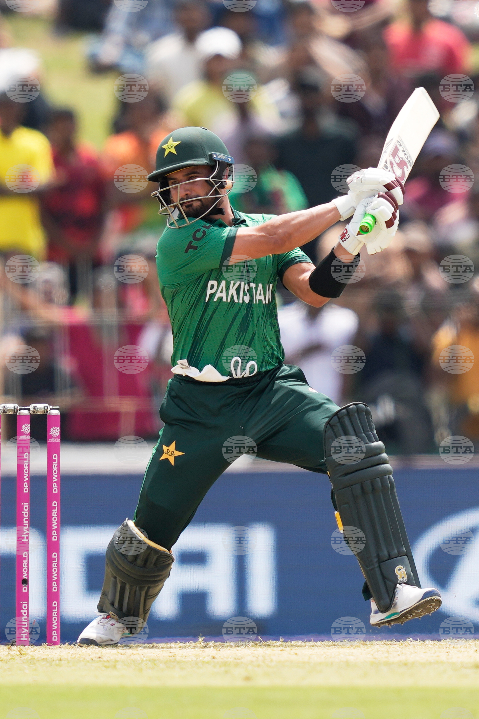 Netherlands Pakistan T20 WCup Cricket